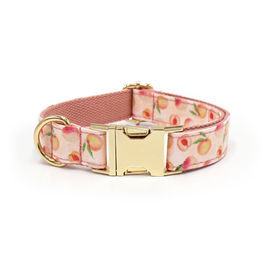 Printed Leash Pet Collar