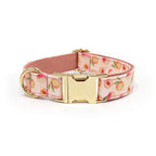 Printed Leash Pet Collar