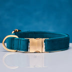 Pet Dog Collar New