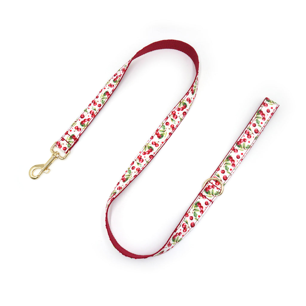 Printed Leash Pet Collar