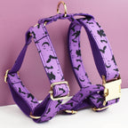 Halloween Black Bat Wings Pet Collar