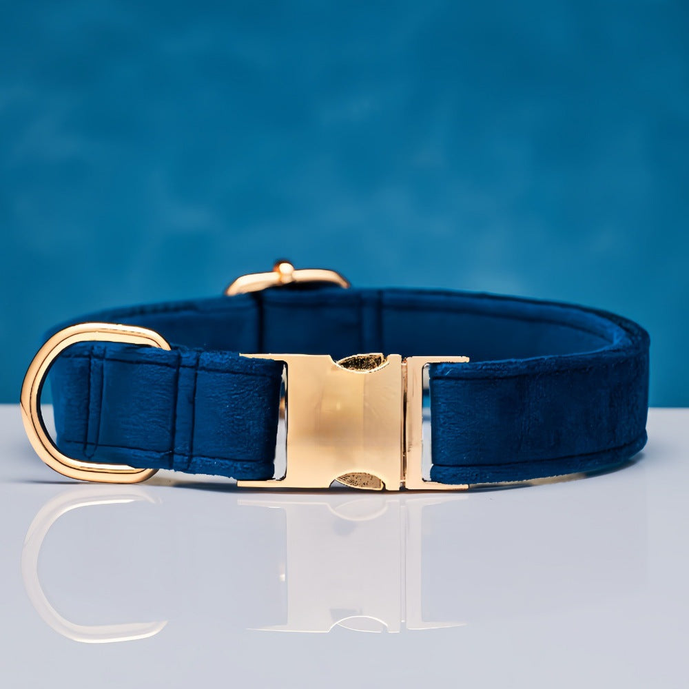 Pet Dog Collar New