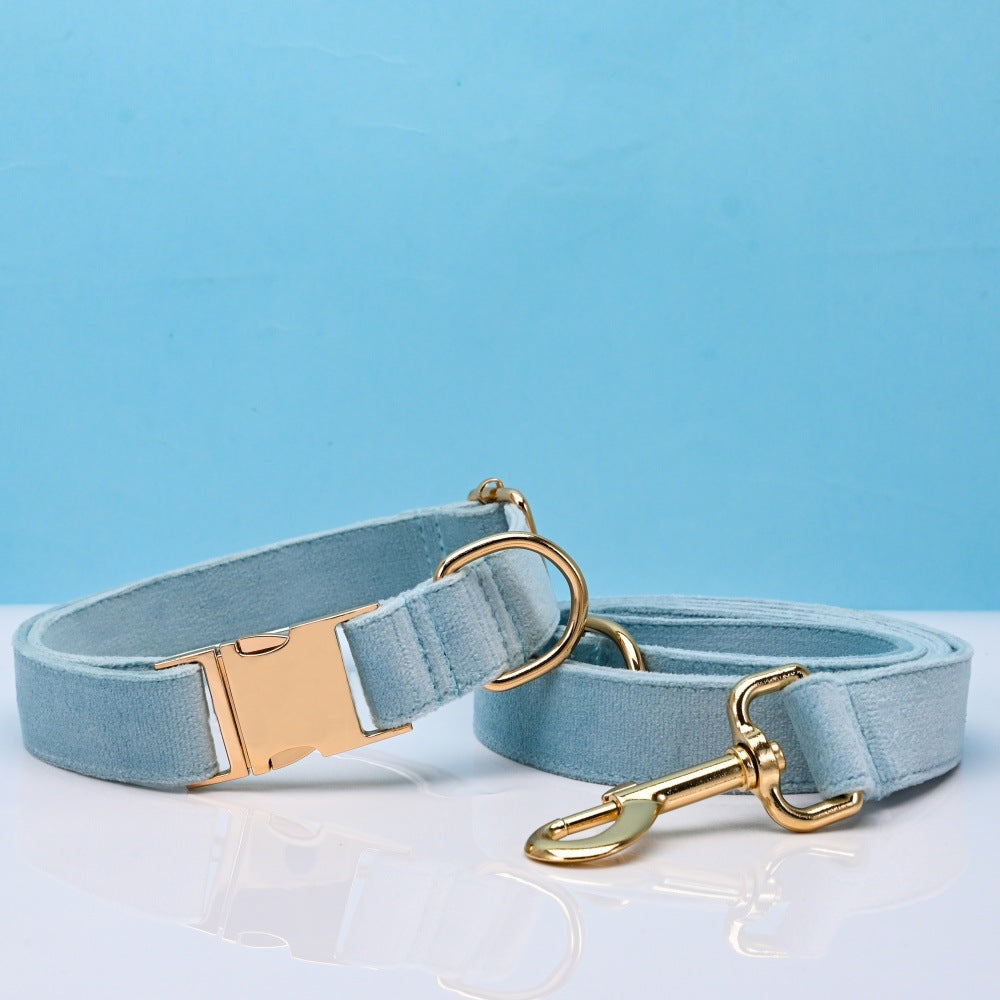 Pet Dog Collar New