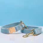 Pet Dog Collar New