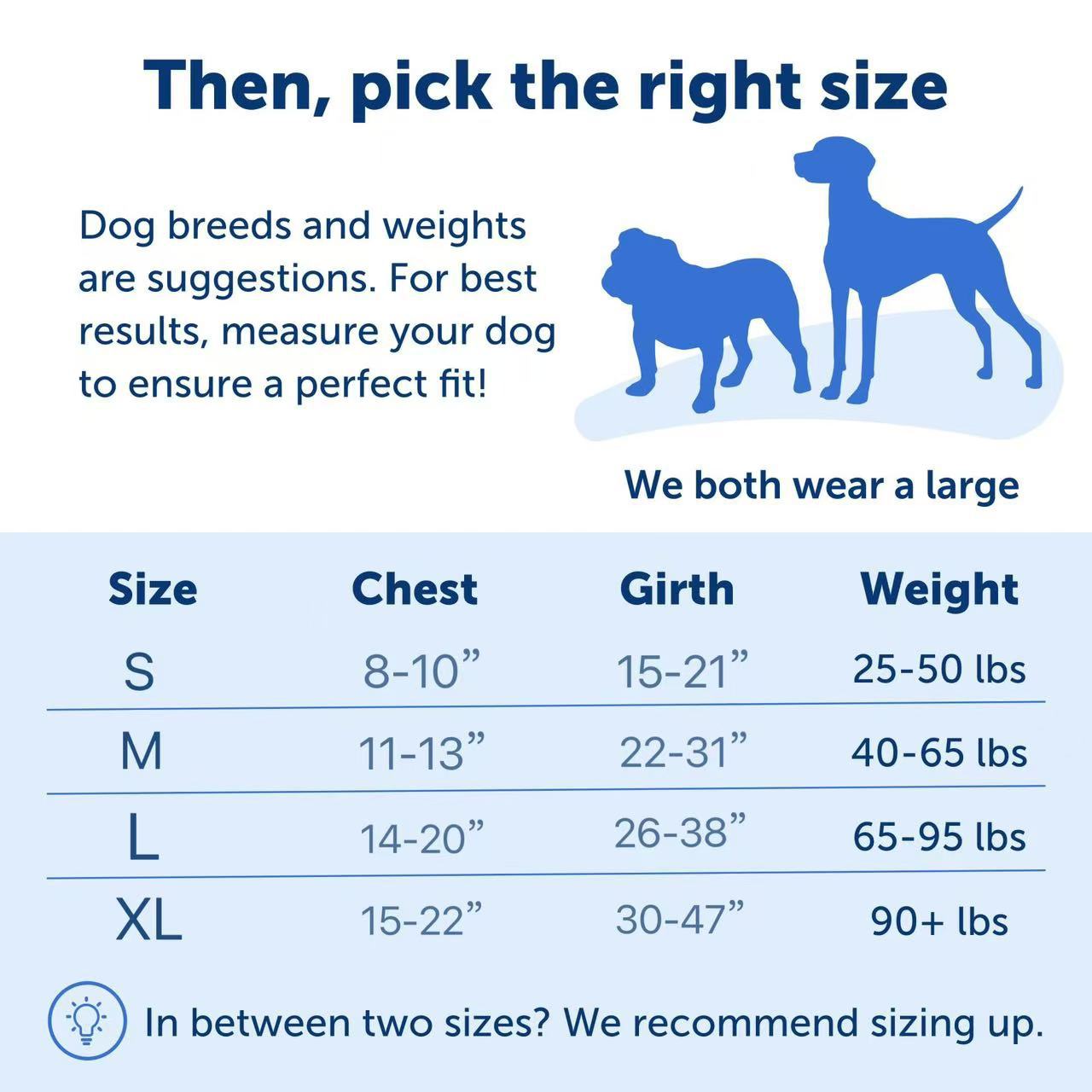 Hot-Selling Dog Harness