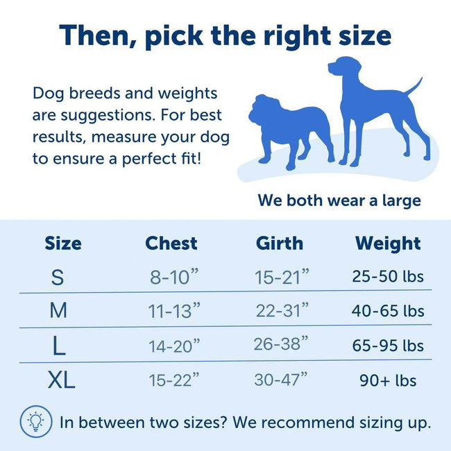 Hot-Selling Dog Harness Main Image