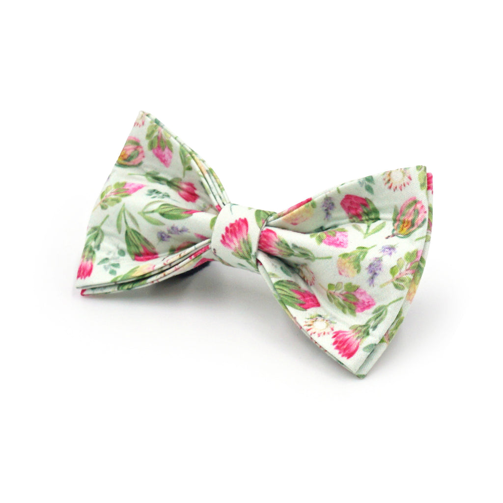 Printed Leash Pet Collar