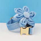 Sky Blue Dog Collar Leash Harness