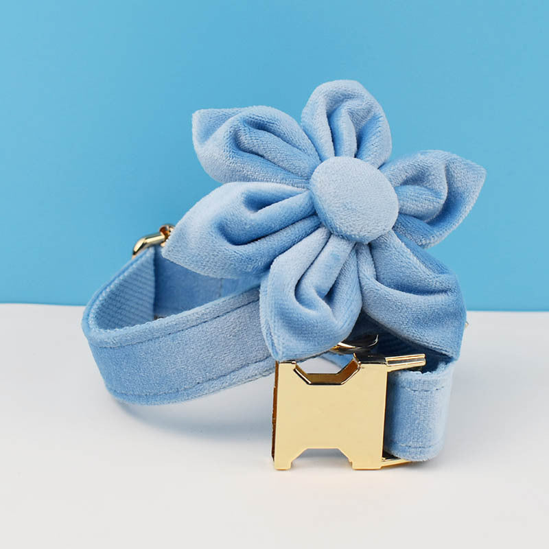Sky Blue Dog Collar Leash Harness