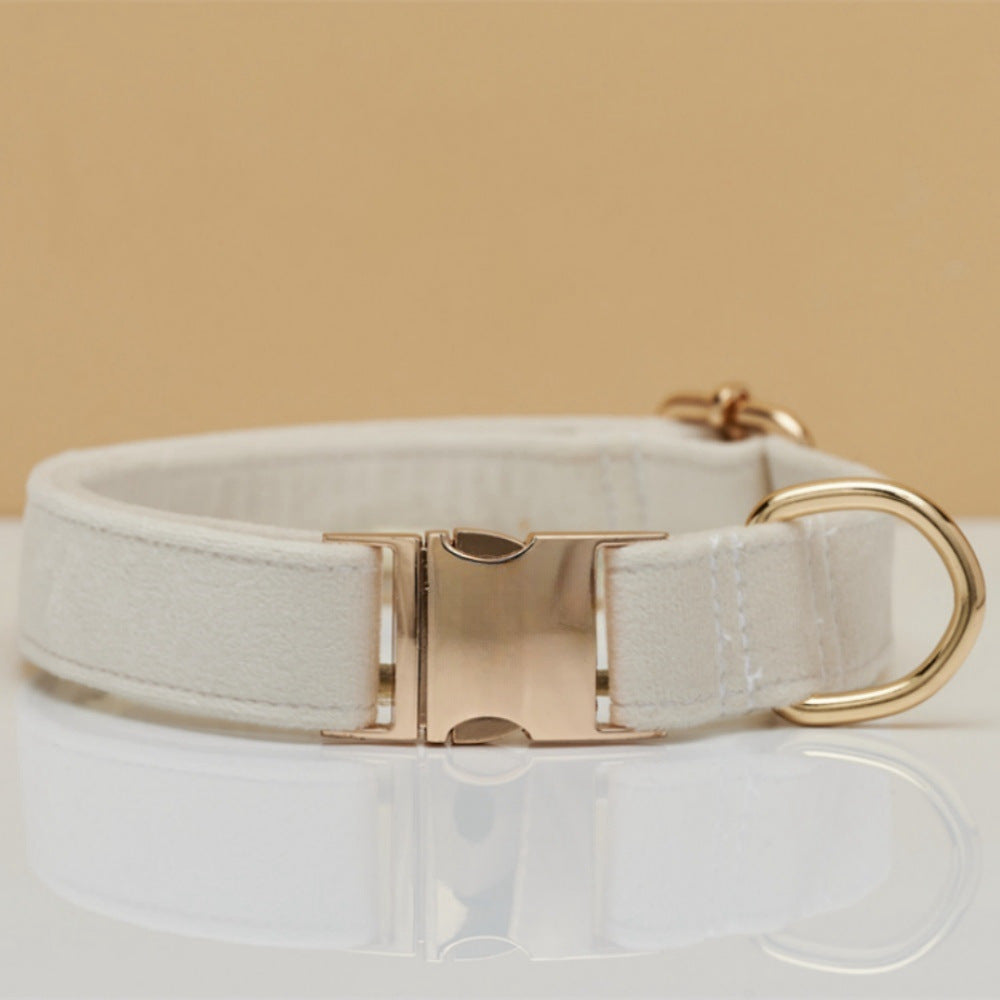 Pet Dog Collar New