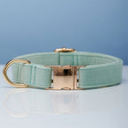Pet Dog Collar New