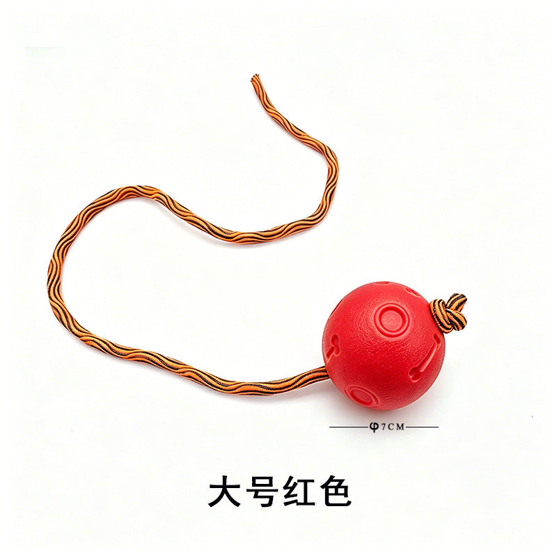 Pet Toy Ball Training Ball