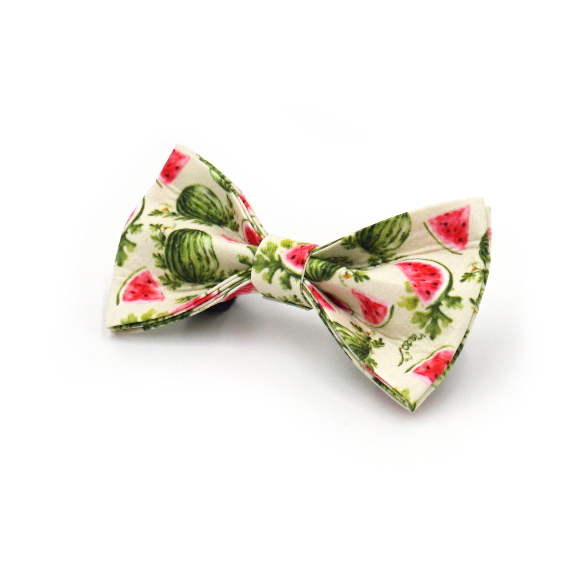 Printed Leash Pet Collar