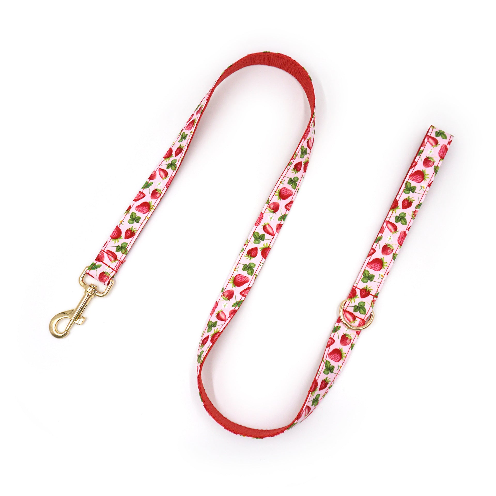 Printed Leash Pet Collar