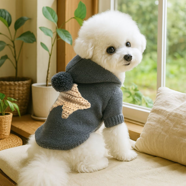 Petcircle Pet Clothing Main Image