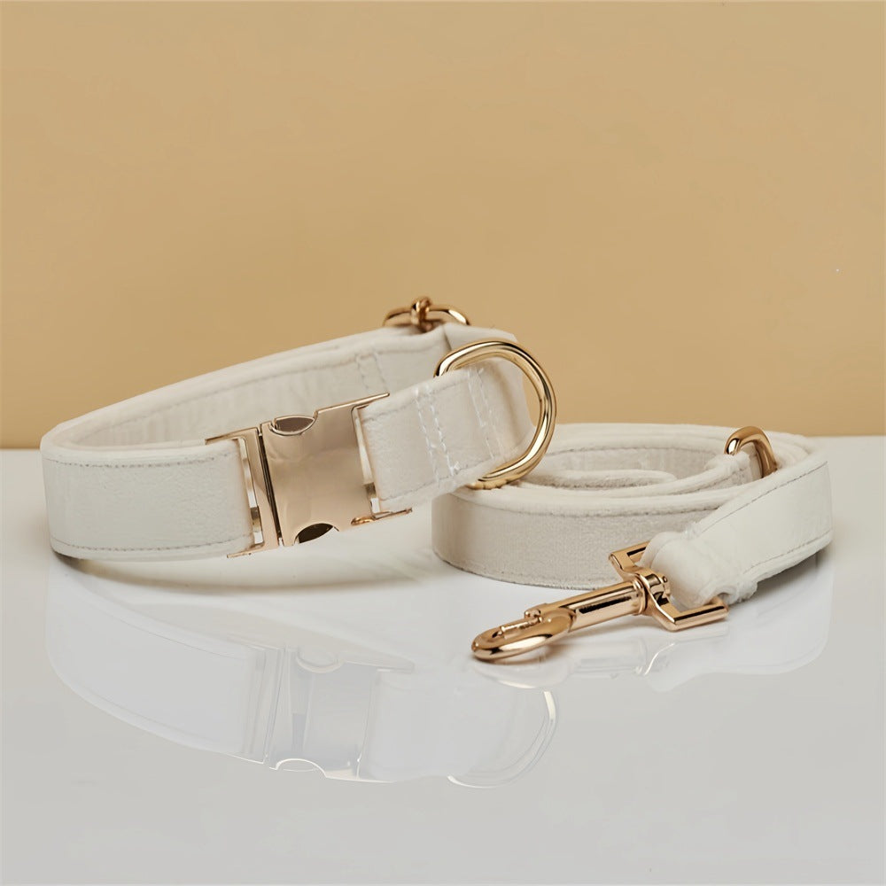 Pet Dog Collar New