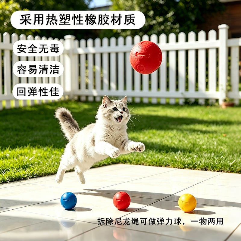 Pet Toy Ball Training Ball