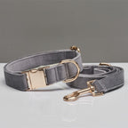 Pet Dog Collar New
