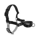 Hot-Selling Dog Harness