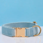 Pet Dog Collar New