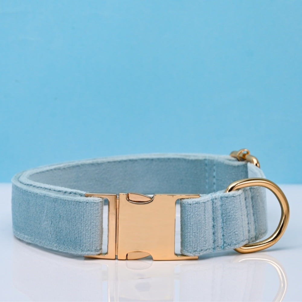 Pet Dog Collar New