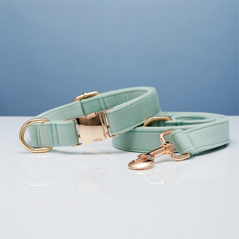 Pet Dog Collar New