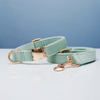 Pet Dog Collar New