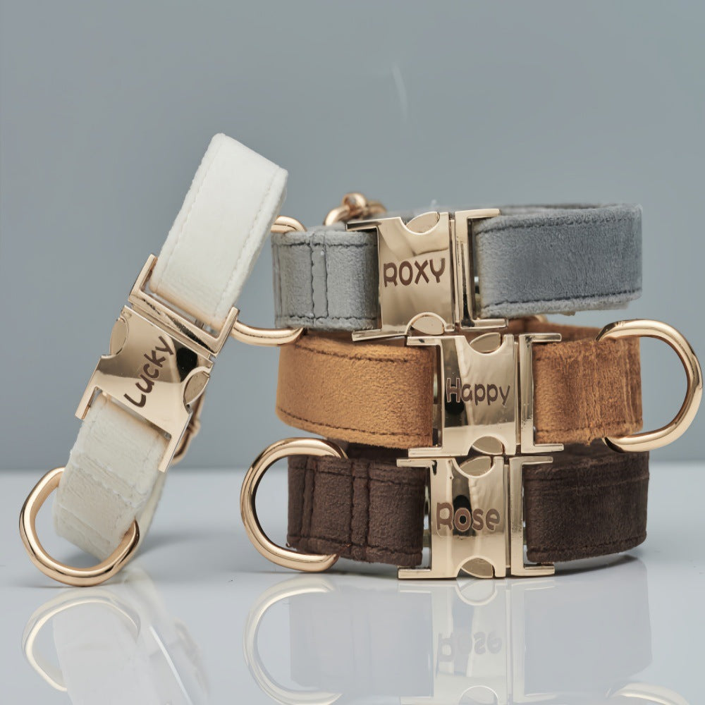 Pet Dog Collar New