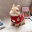 Pet Rabbit Winter Clothes