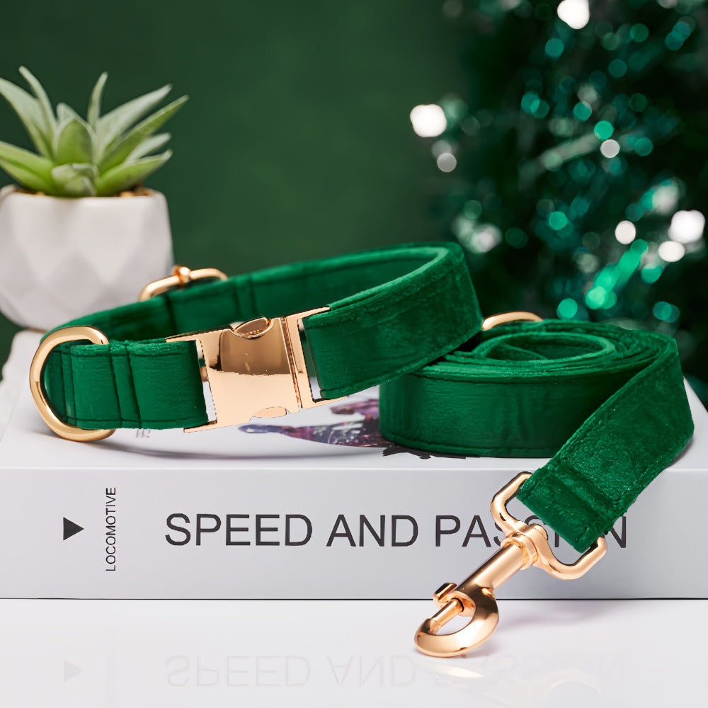 Pet Dog Collar New