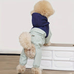 Pet Dog Raincoat Waterproof