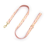 Printed Leash Pet Collar