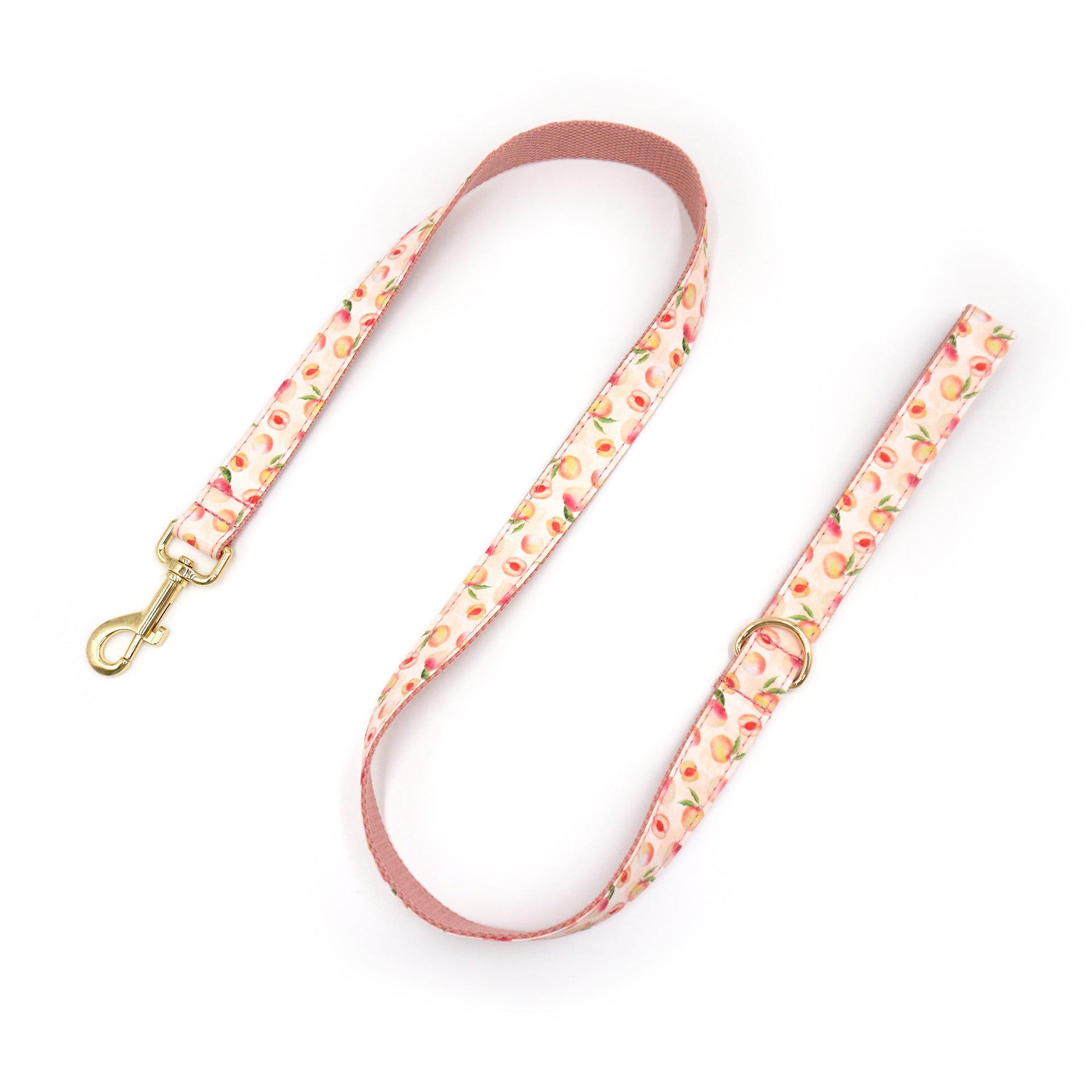 Printed Leash Pet Collar