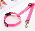 Pet Supplies, Pet Safety Belt
