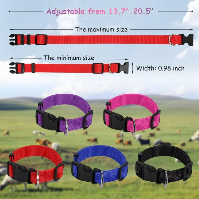 5-Color Goat Collar Bulk Main Image