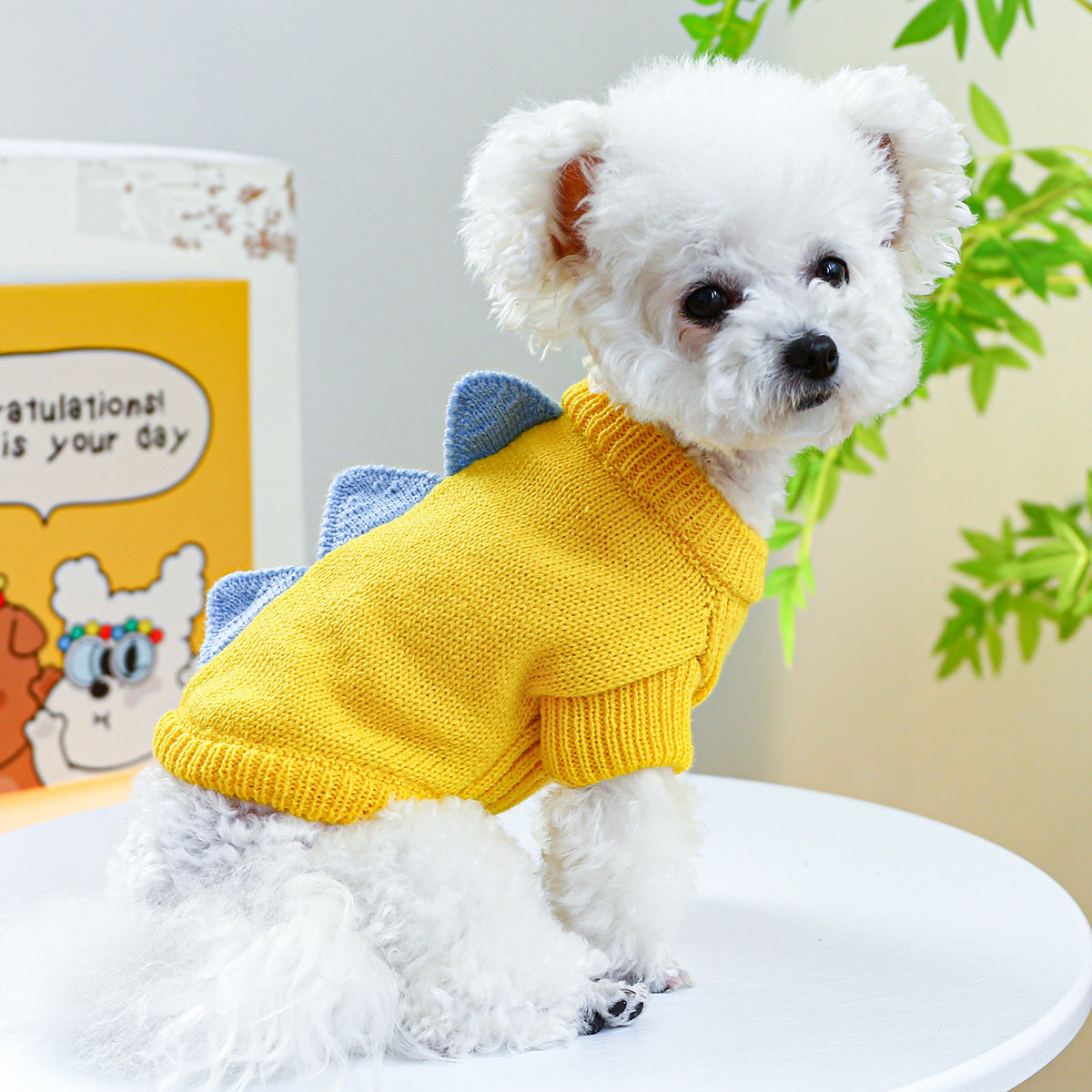 Petcircle Pet Clothing