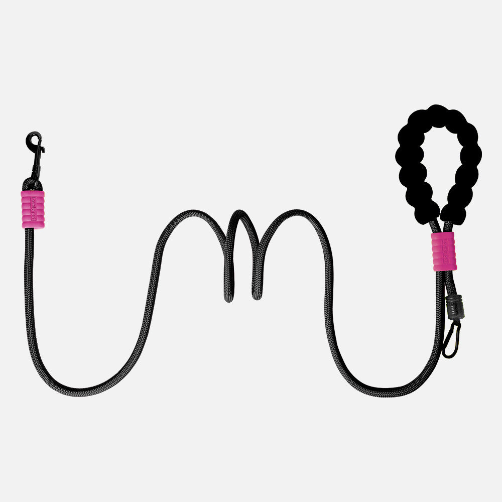 Pet Dog Leash P Rope Dog Walking