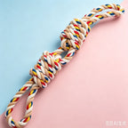 Pet Dog Toy
