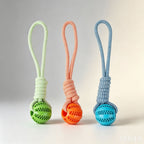 Pet Dog Toy