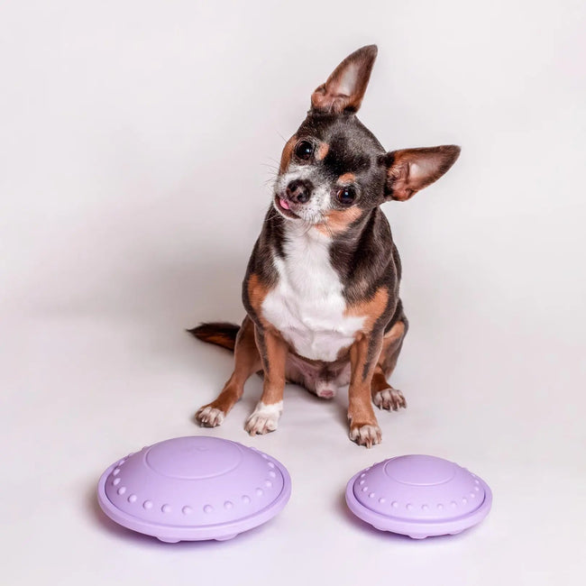 Flying Saucer Puzzle Toy Main Image
